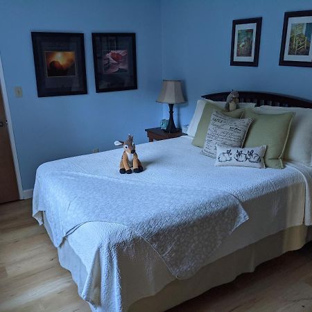 Yosemite Haven @ Pine Mountain Lake. Dog Friendly! غروفلاند المظهر الخارجي الصورة