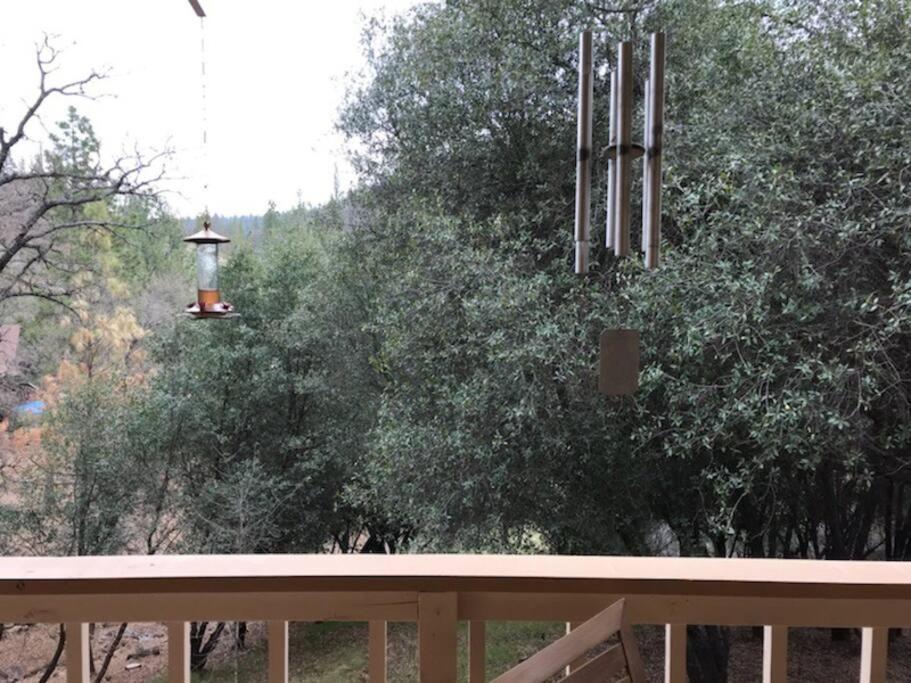 Yosemite Haven @ Pine Mountain Lake. Dog Friendly! غروفلاند المظهر الخارجي الصورة