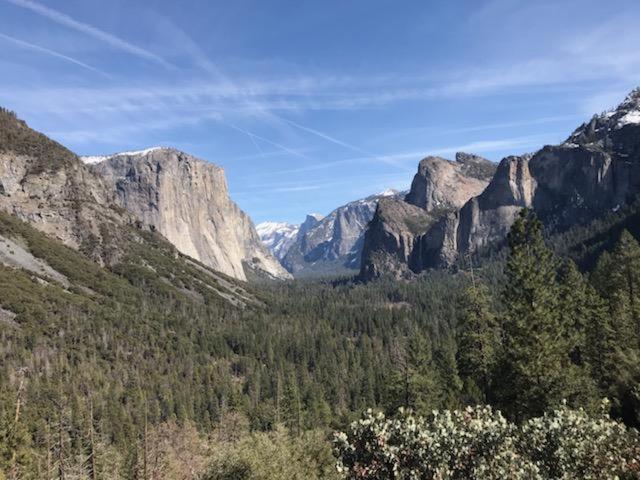 Yosemite Haven @ Pine Mountain Lake. Dog Friendly! غروفلاند المظهر الخارجي الصورة