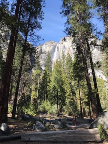 Yosemite Haven @ Pine Mountain Lake. Dog Friendly! غروفلاند المظهر الخارجي الصورة
